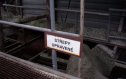 Upravené střepy