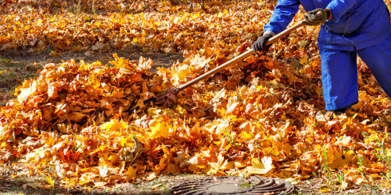 Shrabané listí, posekaná tráva a ořezané větve jsou typickou ukázkou komunálních odpadů vzniklých provozem a údržbou obce.