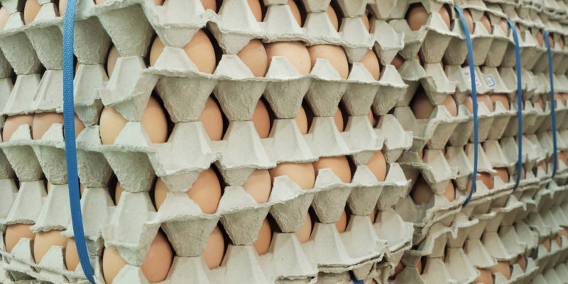 Papírová plata zajišťují vhodnou mechanickou ochranu vajec