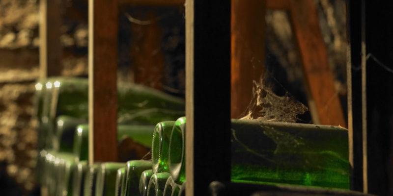 Není náhodou, že se k balení archivních vín využívají skleněné nádoby. Ty pak mohou ve vinných sklepích ležet desítky let.