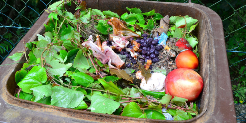 Pokud se v hnědých popelnicích objevuje listí a tráva, je to v pořádku. Naopak kosti a zbytky masa do tohoto odpadu nepatří.