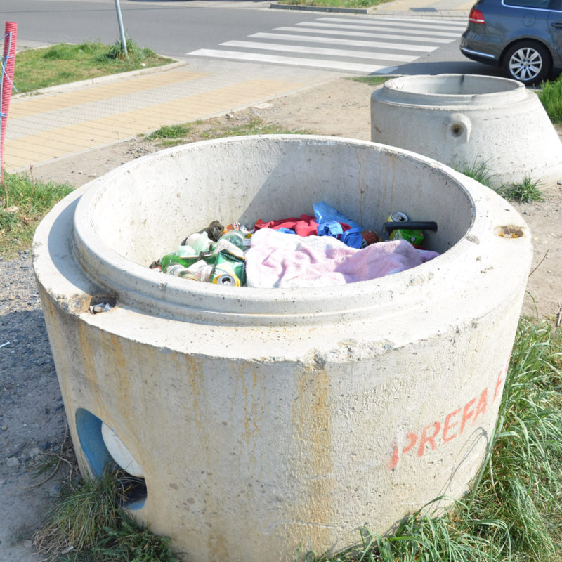 I ve městech vznikají černé skládky, ve chvíli, kdy je nedostatek košů, využívají někteří občané pro vyhození odpadu i jiná místa.