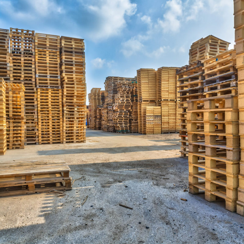 Dřevo je nejrozšířenější materiál pro výrobu palet.