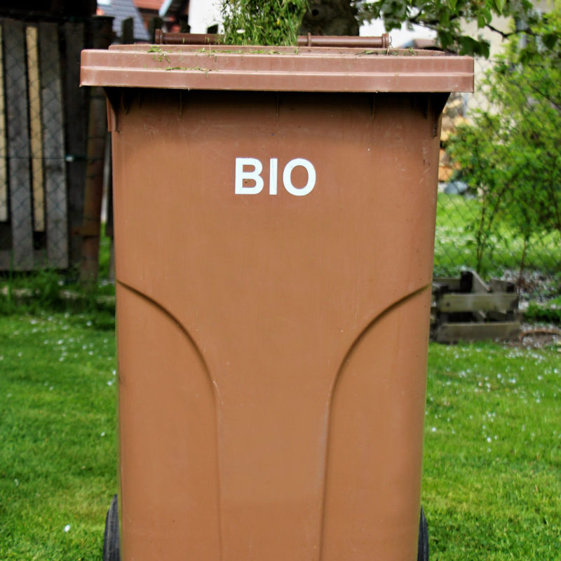 Biologicky rozložitelné odpady se v ČR třídí obvykle do popelnic hnědé barvy.